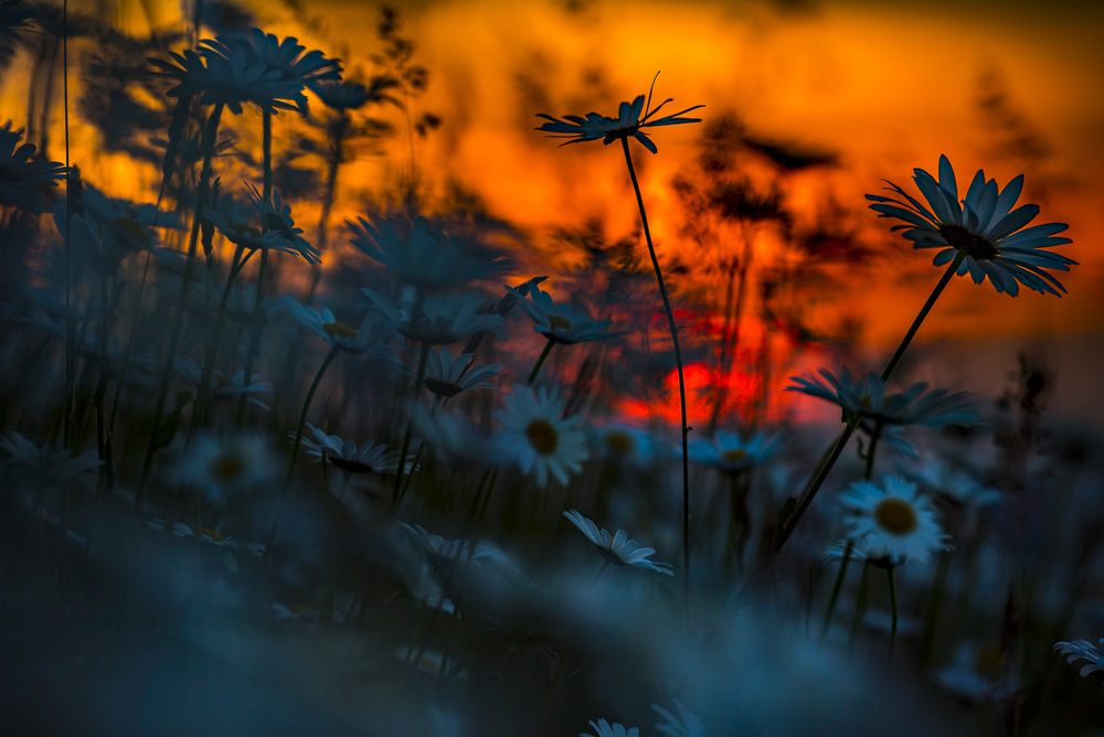 7. Platz Robert Seitz